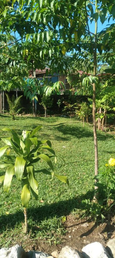Karleta Homestay Ruteng Exterior foto